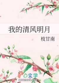 我的清风明月 作者枝甘南