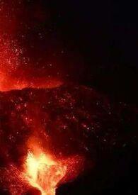 高H)最新章节_心火(父女