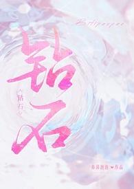 钻石全文阅读