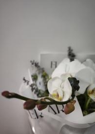 我的未婚妻秋天