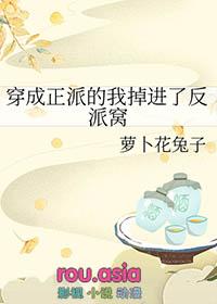 我穿成了反派配角