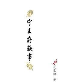 宁王府轶事全本TXT