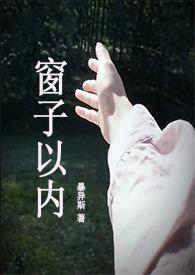窗子以外 阅读答案
