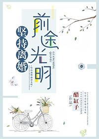 坚持离婚前途光明免费阅读