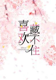 喜欢藏不住全文