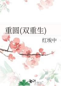 重圆(双重生) 作者红埃中