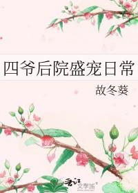 四爷的宠后清穿免费