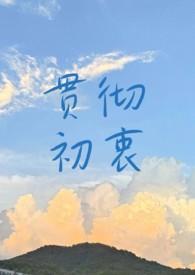 贯彻初衷txt资源