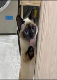 慢慢喜欢你59章