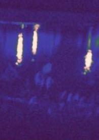 热狗黑胶绿胡子果最新动态