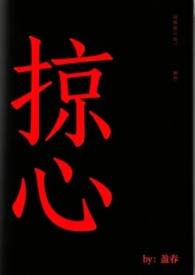 掠心盈春免费阅读