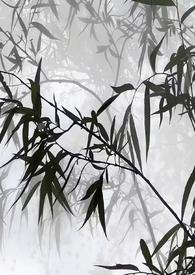 听茶书院怎么样