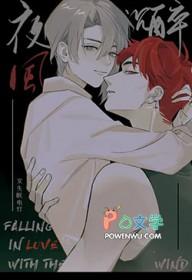 夜风沉醉短剧合集