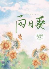 向日葵10月27日主力大幅流入