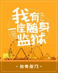 我有一座随身监狱讲的什么