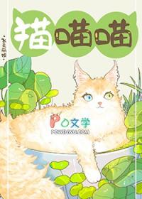 捡了一只流浪猫特别凶怎么办