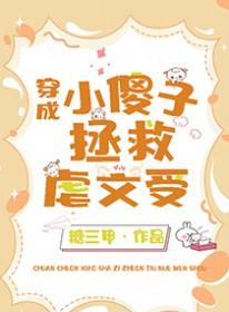 小傻子失忆后渣攻火葬场了免费