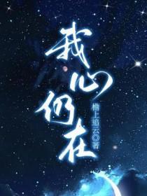 我心仍在歌曲视频