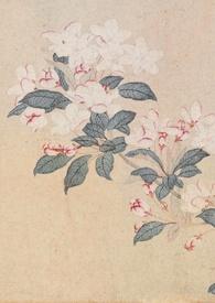 春色(强取豪夺)作者许酒