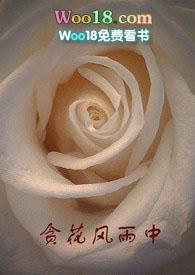 贪风花雨中完结