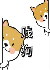 贱狗是不是欠操