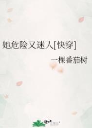 她危险又迷人txt