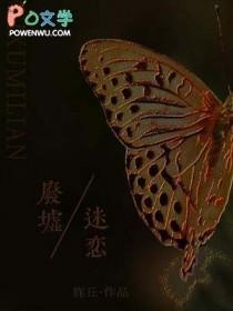 废墟迷恋讲的是什么故事