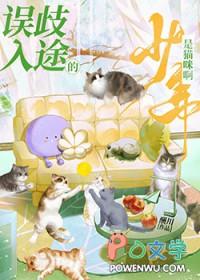 误入歧途的少年是猫咪啊晋江