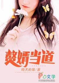 赘婿当道全集在线观看