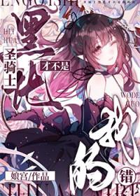 黑化圣骑士全文阅读