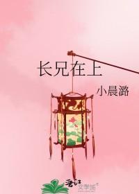 长兄在上谢琰最后