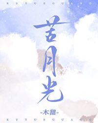 苦月光by一盒雨简介
