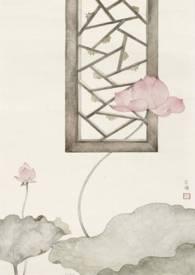 愿我如星君如月dm