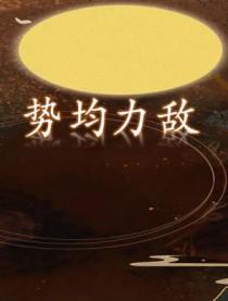 势均力敌 长宇宙讲的什么