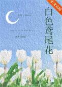 白色鸢尾花许愿周聿白