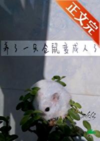 仓鼠变身