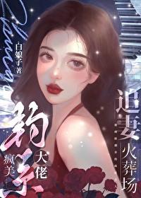 疯美钓系大佬追妻火葬场by青云岫