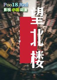 望北楼丁甲讲的什么