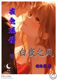 夜色之末