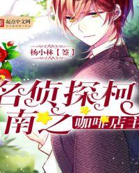 名侦探柯南之咖啡店主作者杨小林