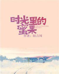 时光里的蜜果番外