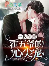 一夜情深霍