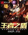 王者荣耀里的盾是什么