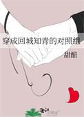 穿为回城知青女配穿书