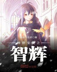 神奇宝贝之智辉txt精校