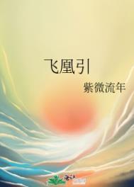 飞凰引 紫微流年豆瓣