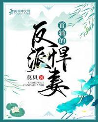 首辅的反派悍妻好看吗