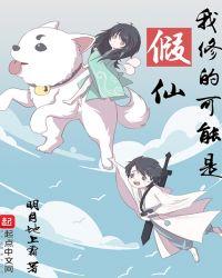 我修的可能是假仙陈尘实力