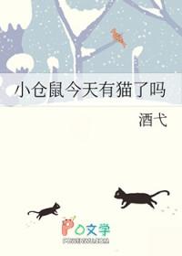 小仓鼠跑了