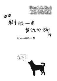 驯服一条复仇的狗by